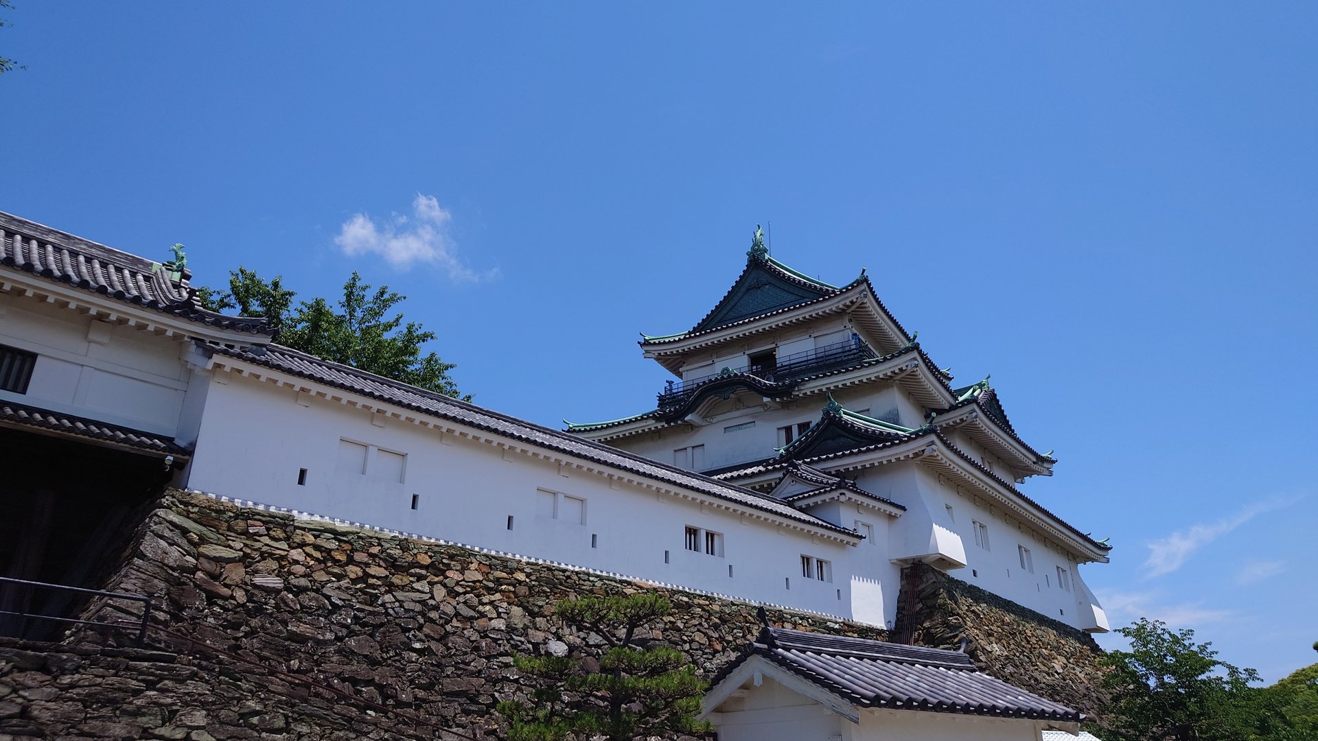 AndyHotDog 分享的打卡照片